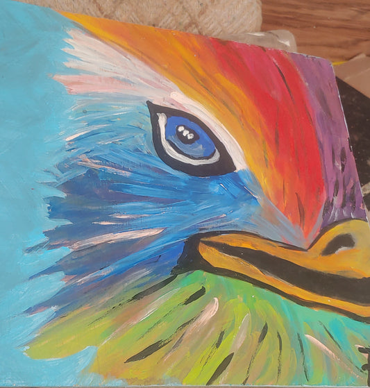 big sale was $40 now $15  Colorful Emu bird Painting