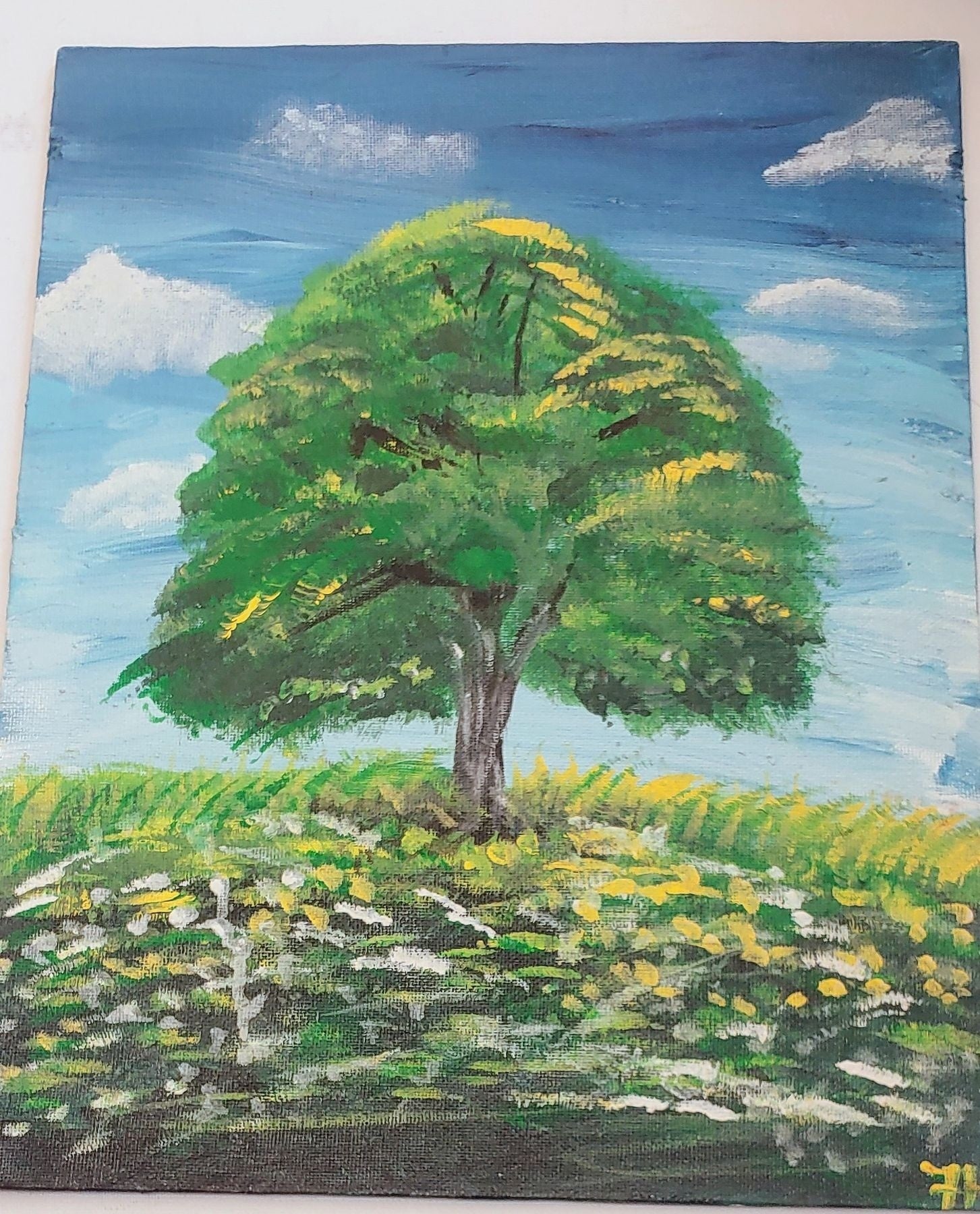 Landscape Paintings - hand painted 14 x 11 inch stretched canvas  